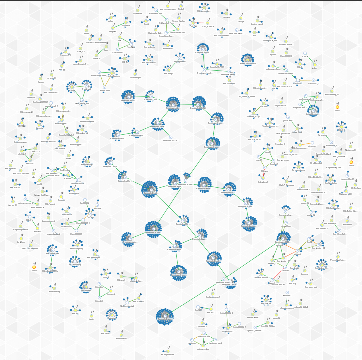 breminale_graph